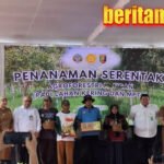 Kementan beri bantuan benih 40 kg per hektare petani hutan Lampung